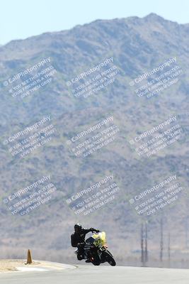 media/Apr-27-2025-BRL Bagger Racing League (Sun) [[7a5f00f0a5]]/5-Bagger GP-Pro Stock-Super Street Race/